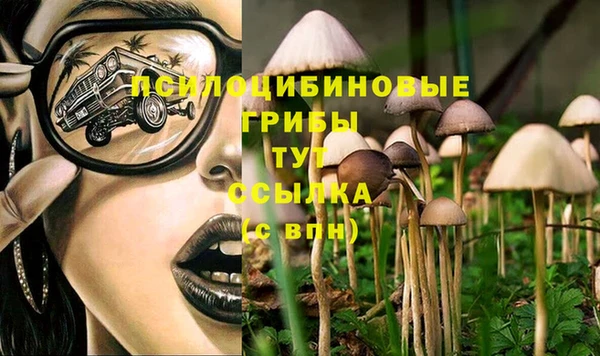 мет Баксан