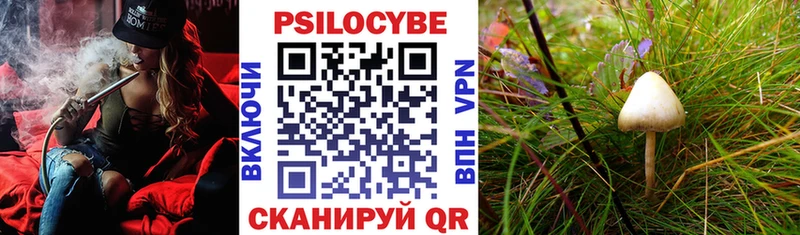Галлюциногенные грибы GOLDEN TEACHER  blacksprut зеркало  это состав  наркота  Тейково 